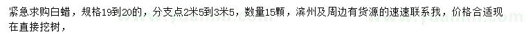 求購19-20公分白蠟