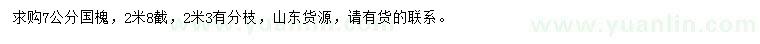 求購7公分國槐