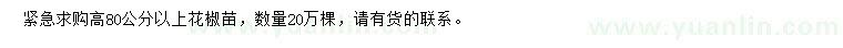 求購高80公分以上花椒苗