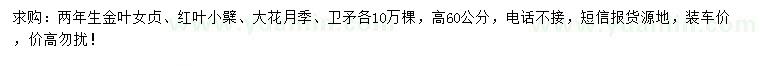 求購金葉女貞、紅葉小檗、大花月季等