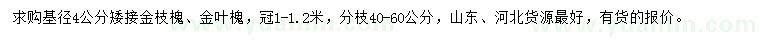 求購基徑4公分金枝槐、金葉槐
