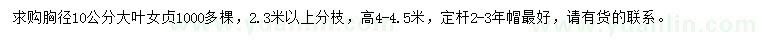 求購胸徑10公分大葉女貞