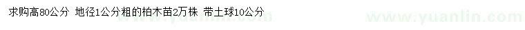 求購高80公分柏木