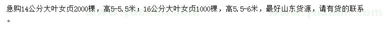 求購14、16公分大葉女貞