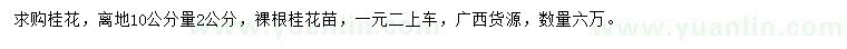 求購離地10公分量2公分桂花