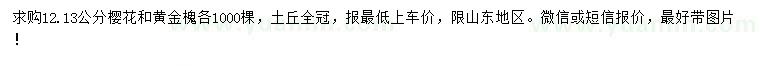 求購12、13公分櫻花、黃金槐