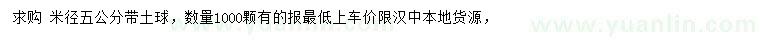 求購米徑5公分櫻花