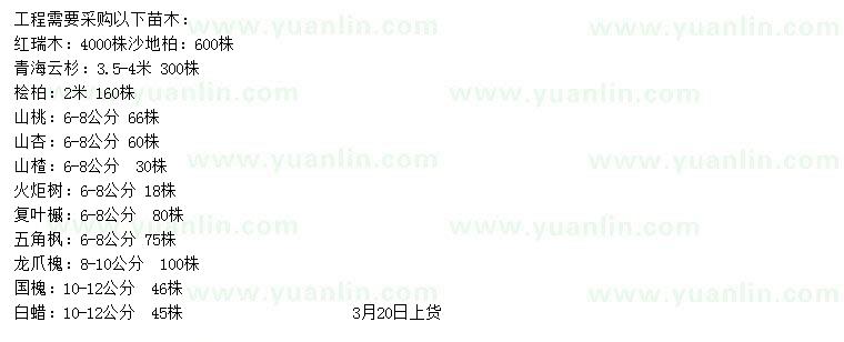 求購紅瑞木、青海云杉、檜柏等