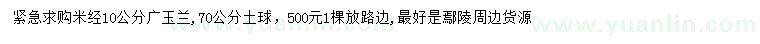 求購米徑10公分廣玉蘭