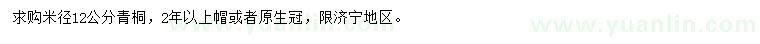 求購米徑12公分青桐
