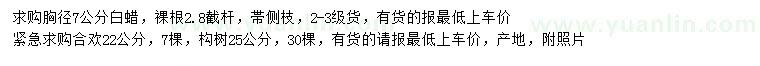 求購白蠟、合歡、構(gòu)樹