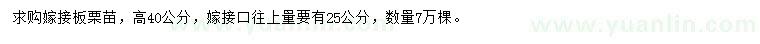 求購(gòu)高40公分嫁接板栗苗
