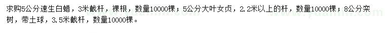 求購(gòu)速生白蠟、大葉女貞、欒樹(shù)