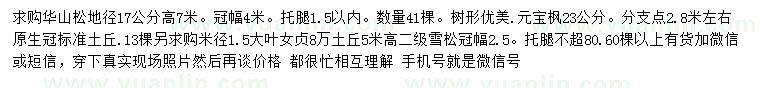 求購華山松、元寶楓、大葉女貞等