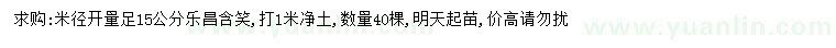 求購(gòu)米徑15公分樂(lè)昌含笑