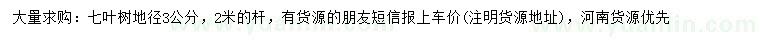求購地徑3公分七葉樹