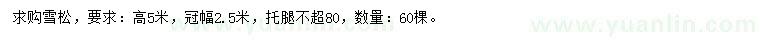 求購高5米雪松