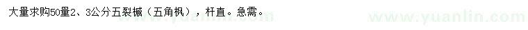 求購(gòu)50量2、3公分五裂槭（五角楓）