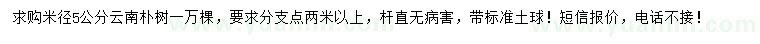 求購米徑5公分云南樸樹