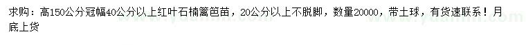 求購高150公分紅葉石楠籬笆苗