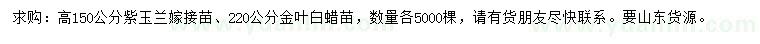 求購高150公分紫玉蘭嫁接苗、220公分金葉白蠟小苗