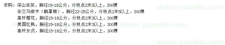 求購(gòu)深山含笑、雜交馬褂木、高桿櫻花等