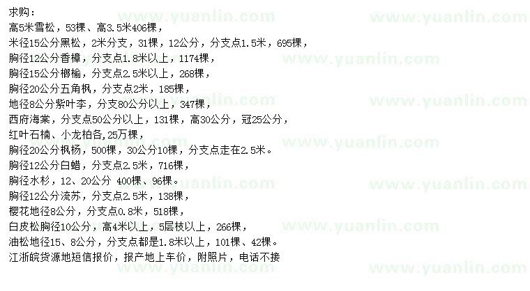 求購(gòu)雪松、黑松、香樟等