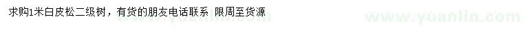 求購1米白皮松
