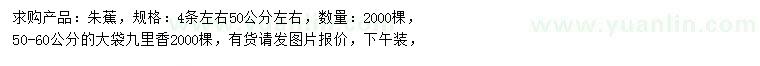 求購50公分朱蕉、50-60公分九里香