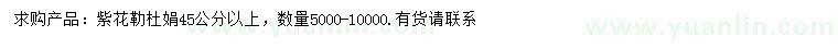 求購45公分以上紫花勒杜鵑