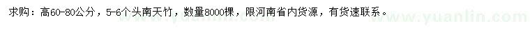 求購(gòu)高60-80公分南天竹