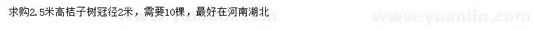 求購高2.5米桔子樹