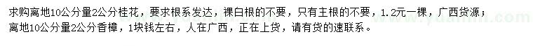 求購(gòu)離地10公分量2公分桂花、香樟