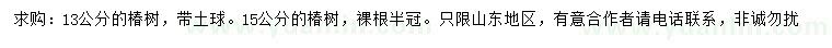 求購(gòu)13、15公分椿樹