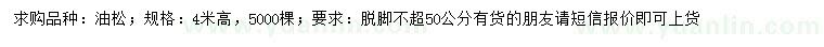 求購高4米油松