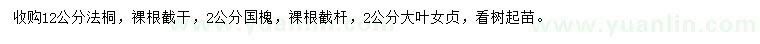 求購法桐、國(guó)槐、大葉女貞