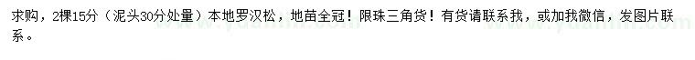 求購30公分量15公分本地羅漢松