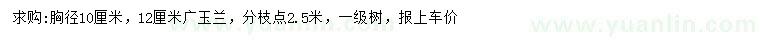 求購(gòu)胸徑10、12公分廣玉蘭