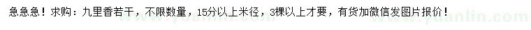 求購米徑15公分九里香