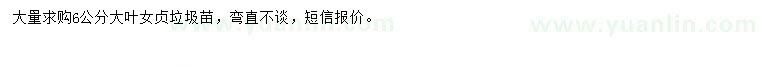 求購6公分大葉女貞垃圾苗