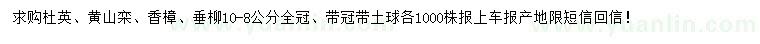 求購杜英、黃山欒、香樟等