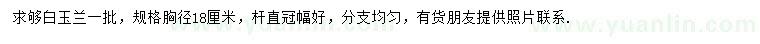 求購胸徑18公分白玉蘭