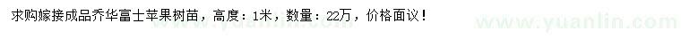 求購高1米嫁接喬華富士