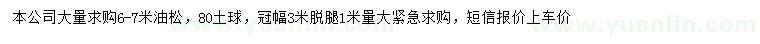 求購6-7米油松