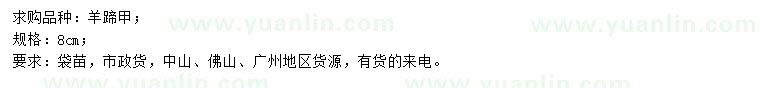求購8公分羊蹄甲