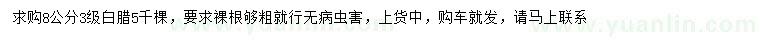 求購8公分白臘