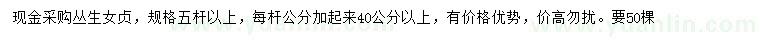 求購5桿以上叢生女貞