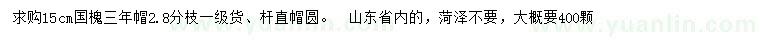 求購15公分國槐