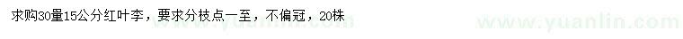 求購30量15公分紅葉李
