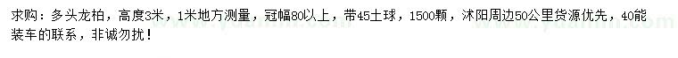 求購高3米多頭龍柏